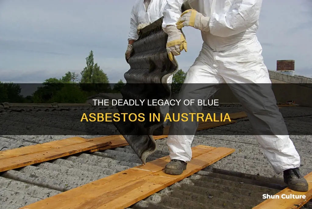 when was blue asbestos banned in australia