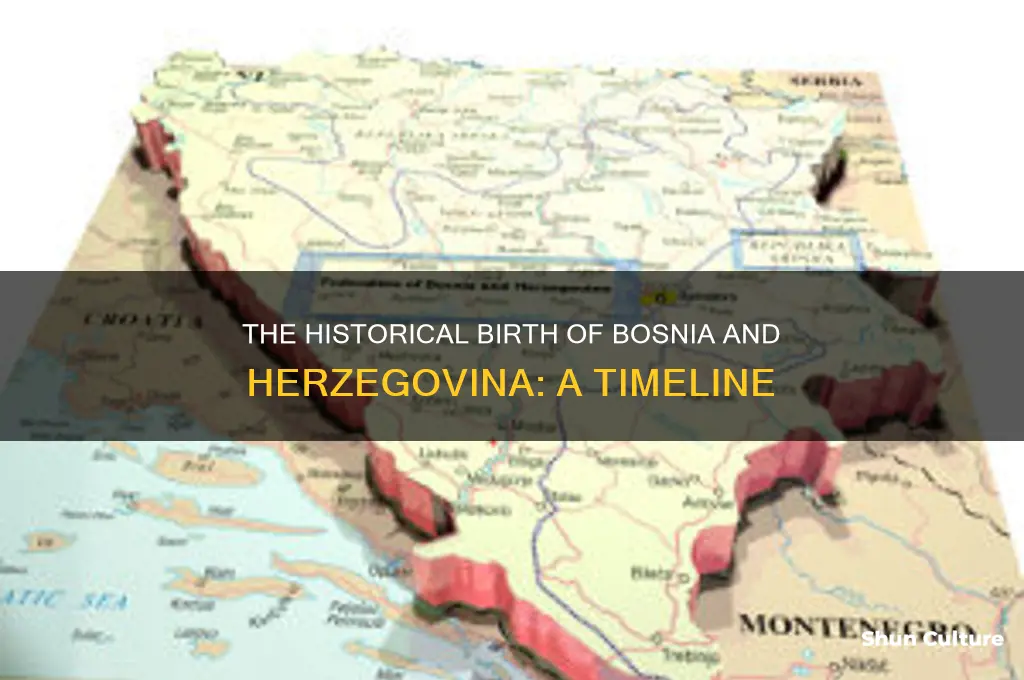 when was bosnia and herzegovina founded
