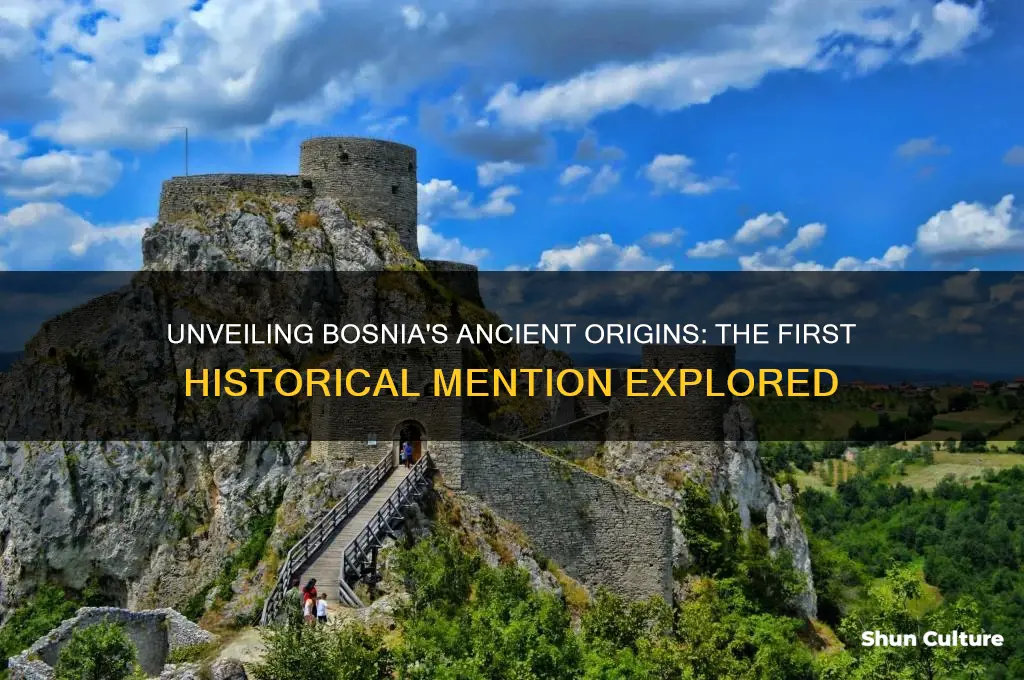 when was bosnia first mentioned