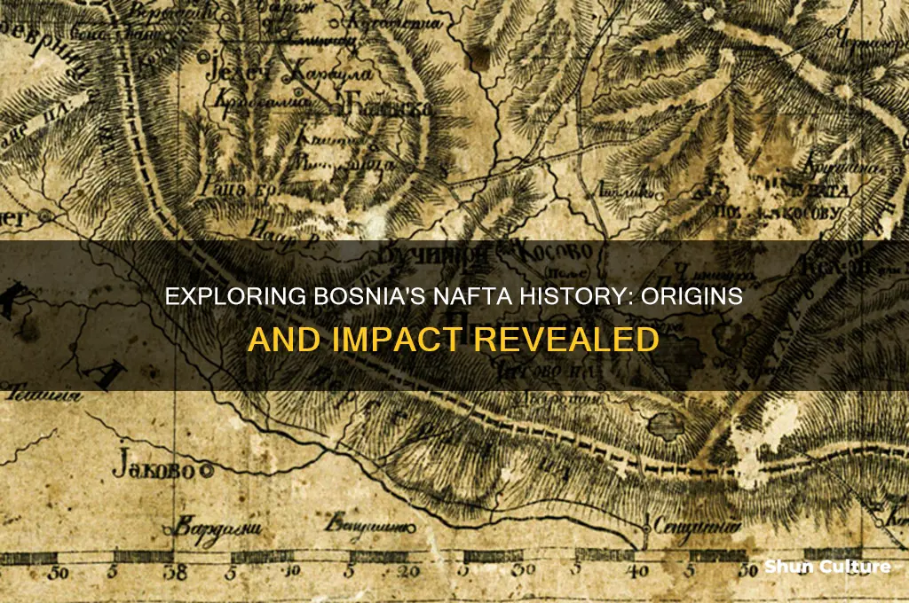 when was bosnia nafta