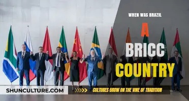 Brazil's Rise: When It Joined the BRIC Nations and Why