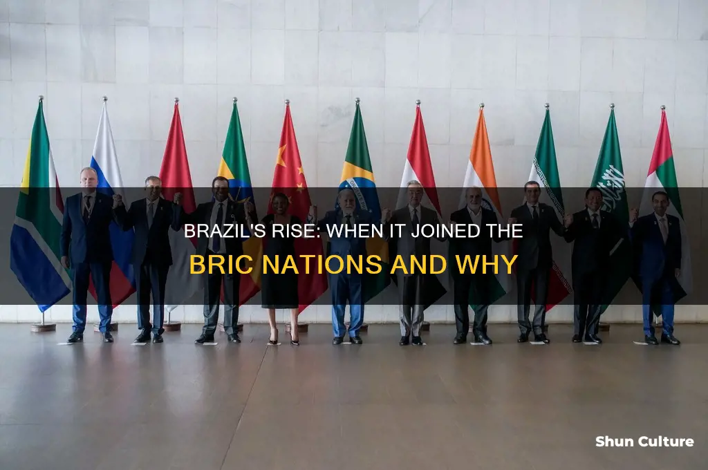 when was brazil a bricc country