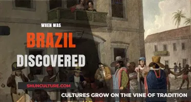 Unveiling Brazil's Discovery: A Journey Through History and Exploration