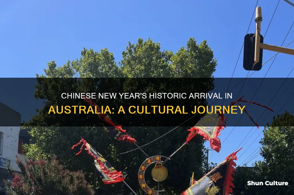 when was chinese new year first celebrated in australia
