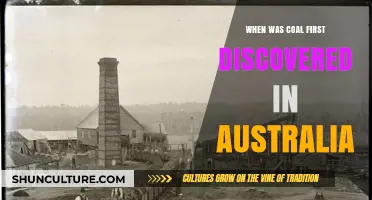 Unearthing Australia's Coal: The Historic Discovery and Its Impact
