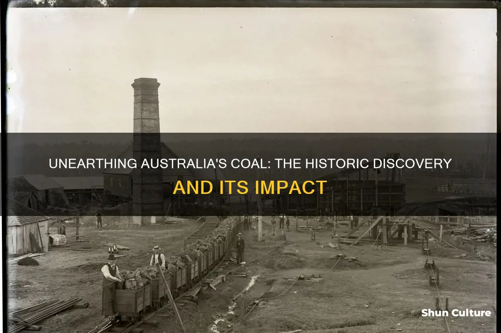 when was coal first discovered in australia