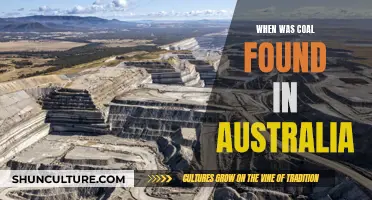 The Discovery of Coal in Australia: A Historical Overview