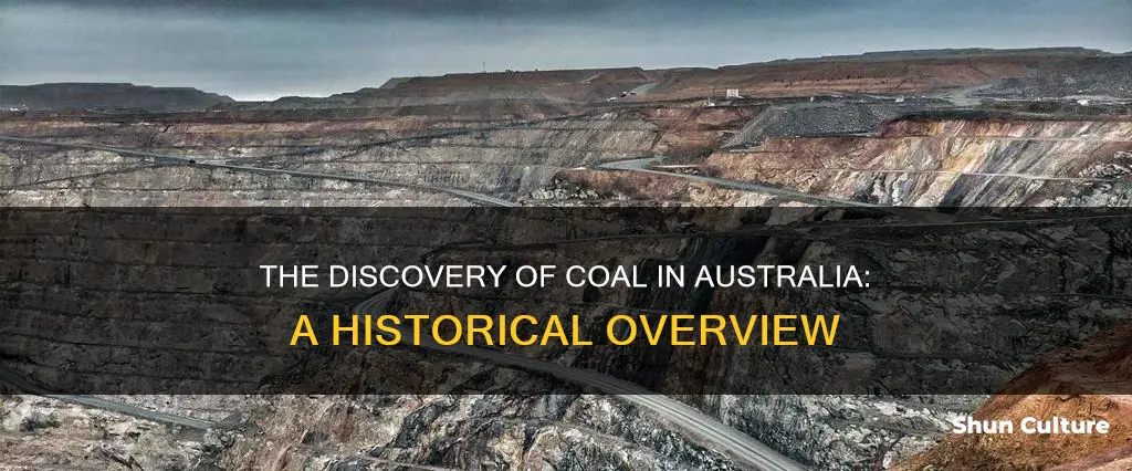 when was coal found in australia