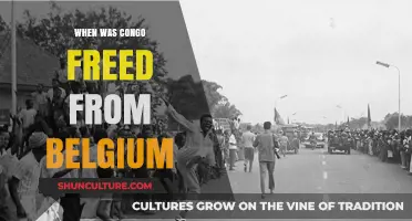 Congo's Independence: A Historical Look at Freedom from Belgian Rule
