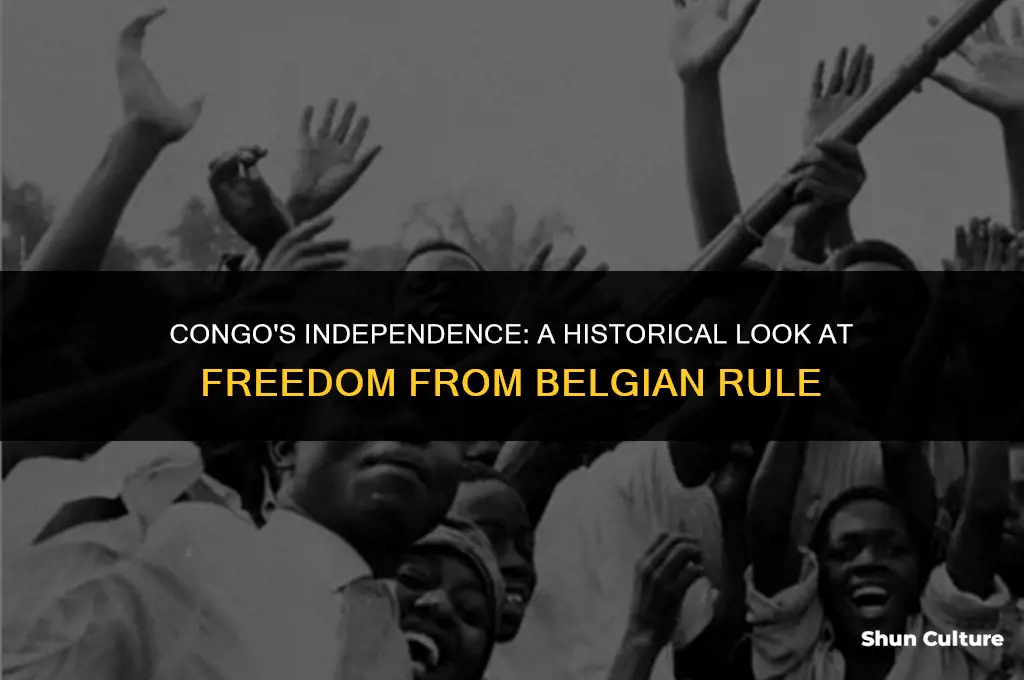 when was congo freed from belgium