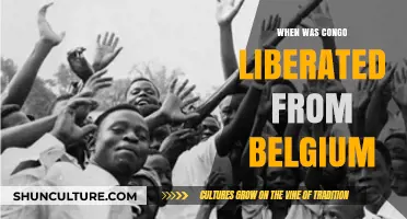 Congo's Independence: A Historical Overview of Liberation from Belgium