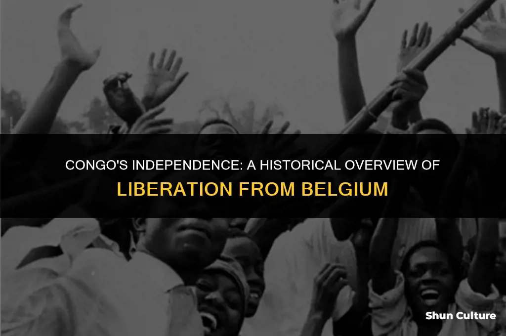 when was congo liberated from belgium
