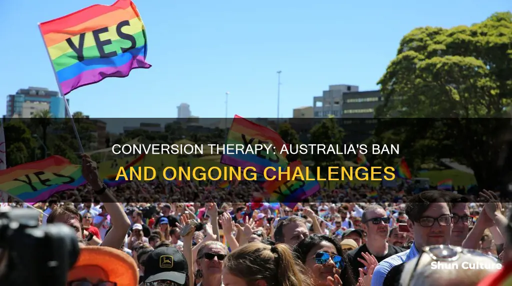 when was conversion therapy banned in australia