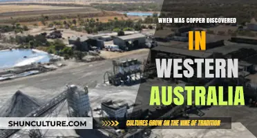The Discovery of Copper in Western Australia: A Historical Overview