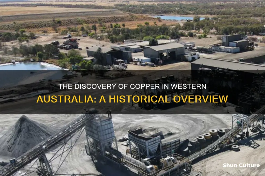 when was copper discovered in western australia
