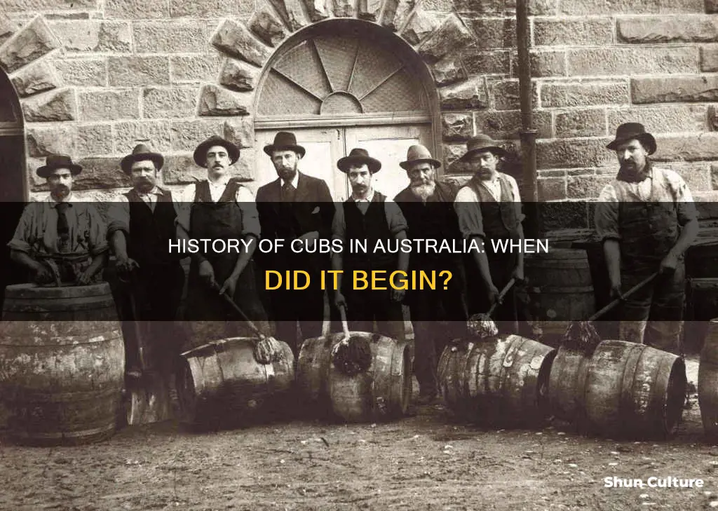 when was cubs founded in australia