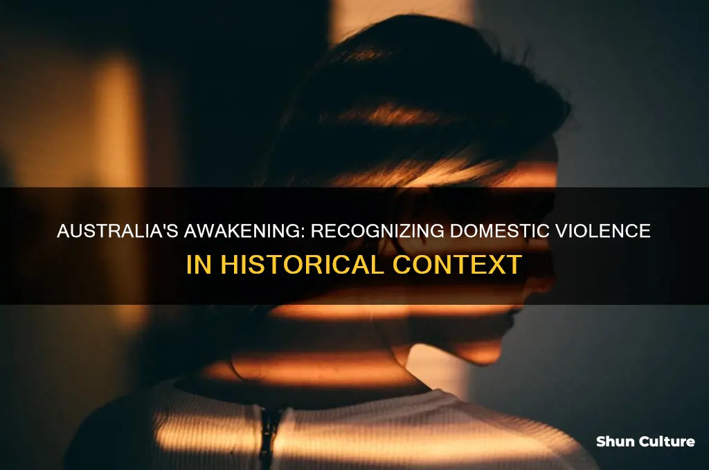 when was domestic violence first recognized in australia