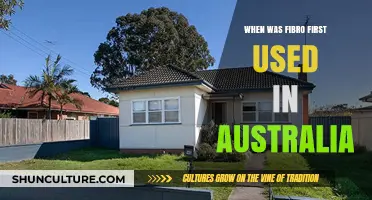 Fibro's Australian Debut: Tracing the First Use of Fibro in Australia
