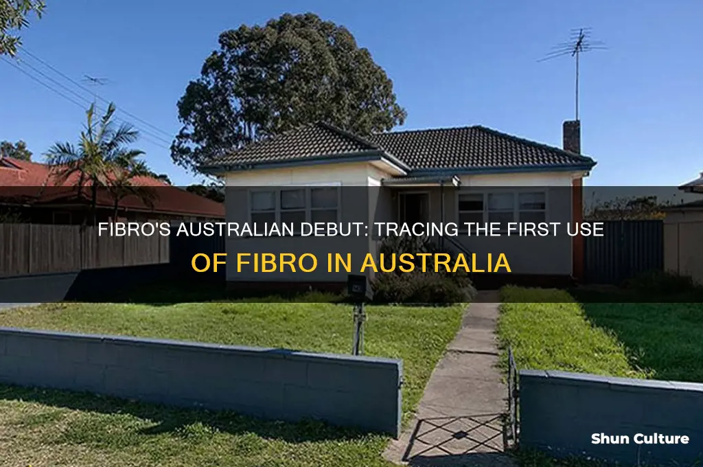 when was fibro first used in australia