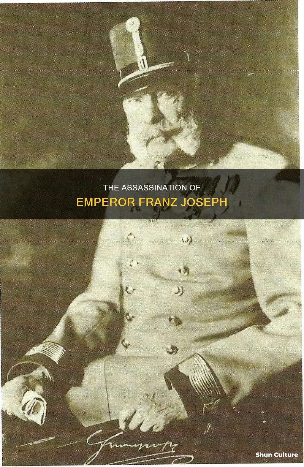 when was franz joseph of austria assasinated