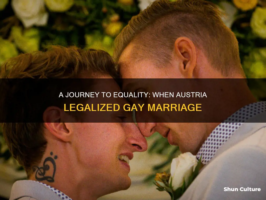 when was gay marriage legalized in austria