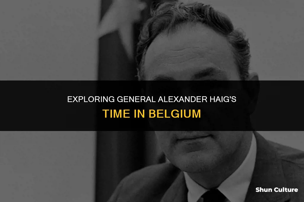 when was general alexander haig in belgium