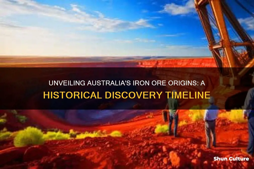 when was iron ore first discovered in australia