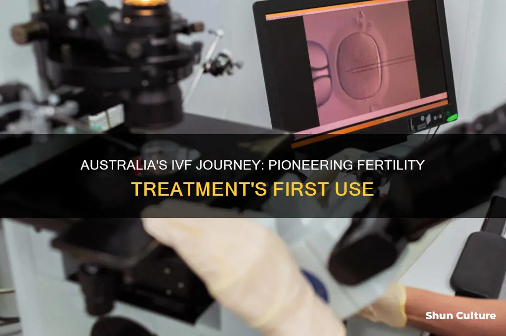 when was ivf first used in australia