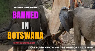 Botswana's Ban on Ivory Hunting: A Historic Conservation Milestone