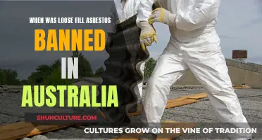Asbestos Insulation: Australia's Ban on Loose Fill