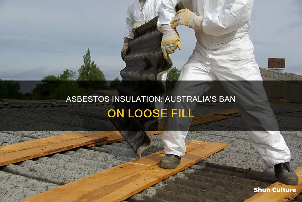 when was loose fill asbestos banned in australia