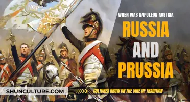 Napoleon's European Campaigns: The Battle for Supremacy in Austria, Russia, and Prussia