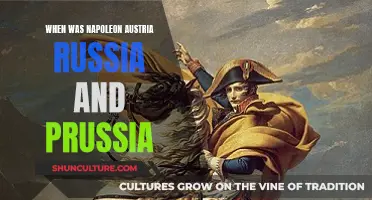Napoleon's Complex Web of War in Europe