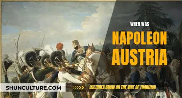 Napoleon's Austrian Campaigns: A Historical Overview