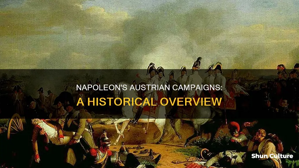 when was napoleon austria