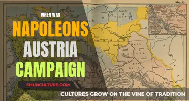 Napoleon's Austria: A Campaign of Conquest and Conflict