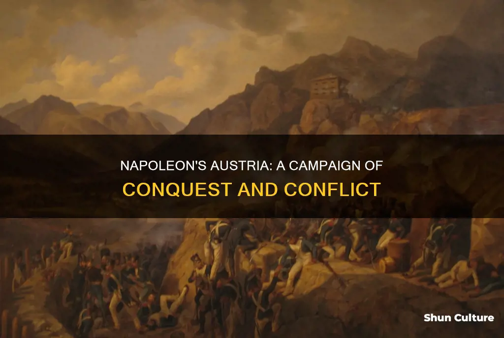 when was napoleons austria campaign