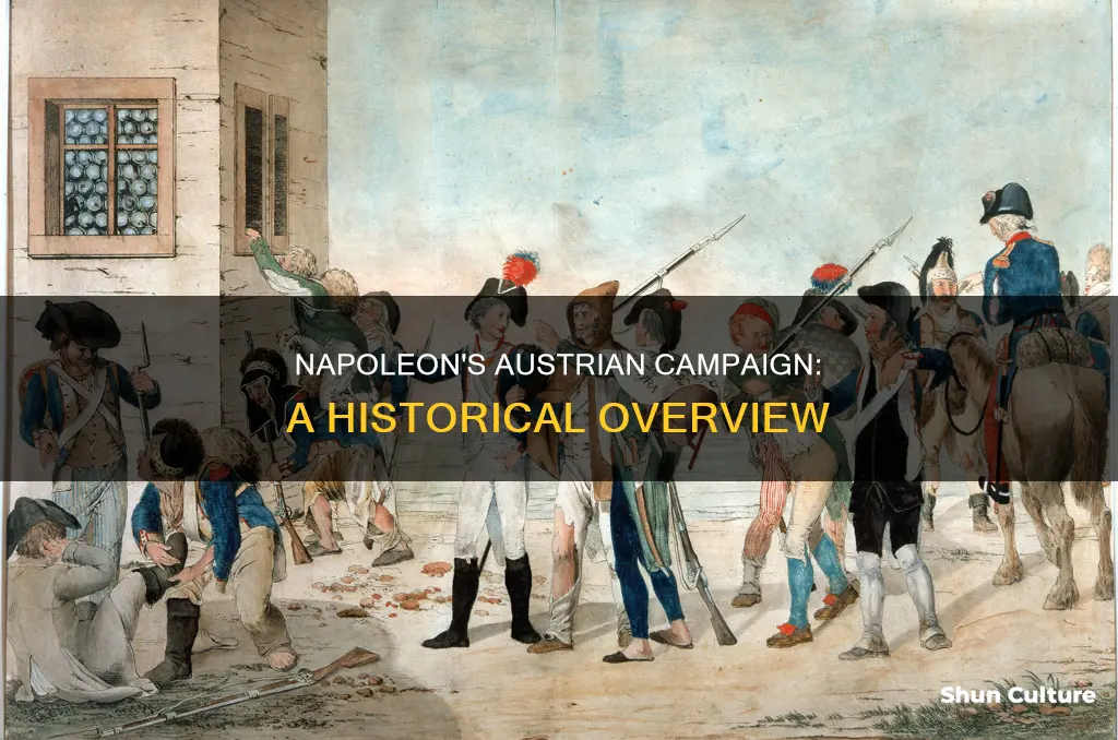 when was napoleons austria campaign