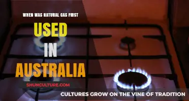 Australia's Natural Gas Journey: Early Adoption and Historical First Use