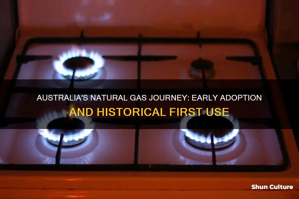 when was natural gas first used in australia