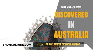Unveiling Australia's Opal Legacy: The Historic First Discovery