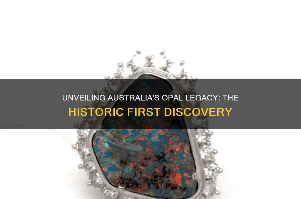 when was opal first discovered in australia