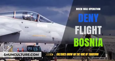 Operation Deny Flight: Bosnia's Airspace Protection Timeline Explained