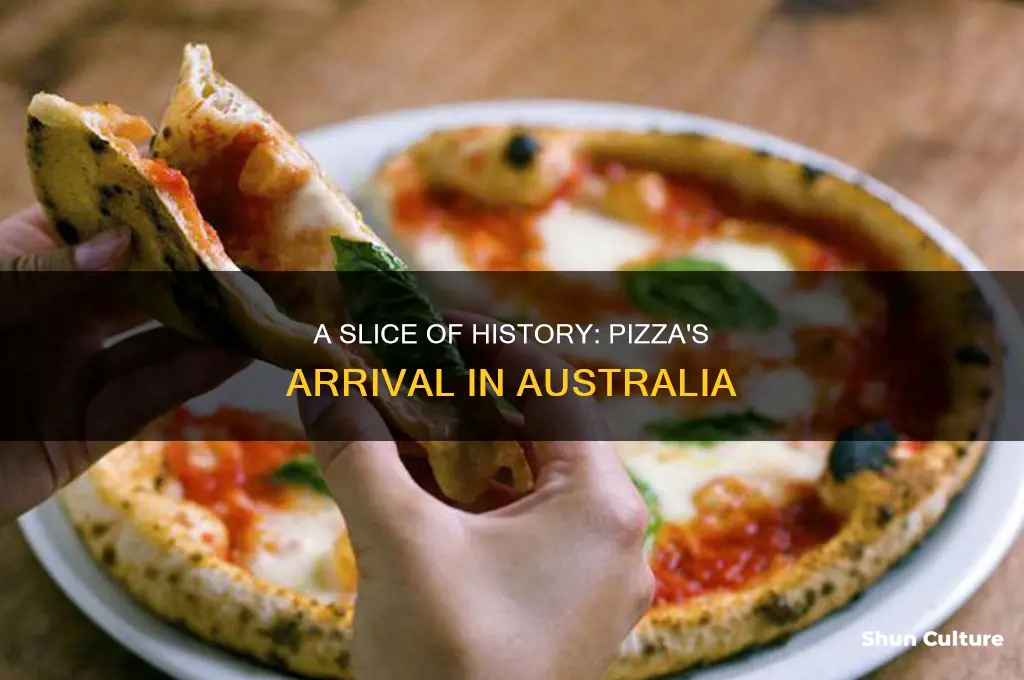 when was pizza first introduced to australia