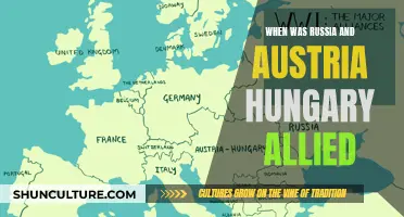 Russia & Austria-Hungary: A Complex Alliance During WWI