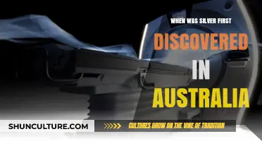 Unveiling Australia's Silver Legacy: The Historic Discovery Timeline