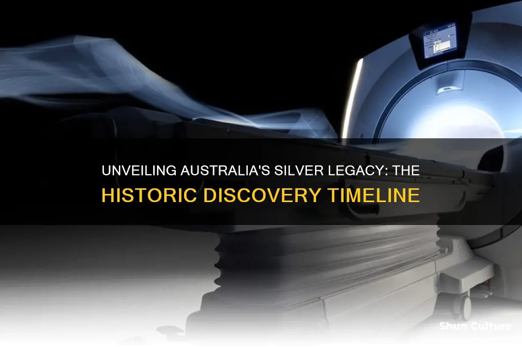 when was silver first discovered in australia