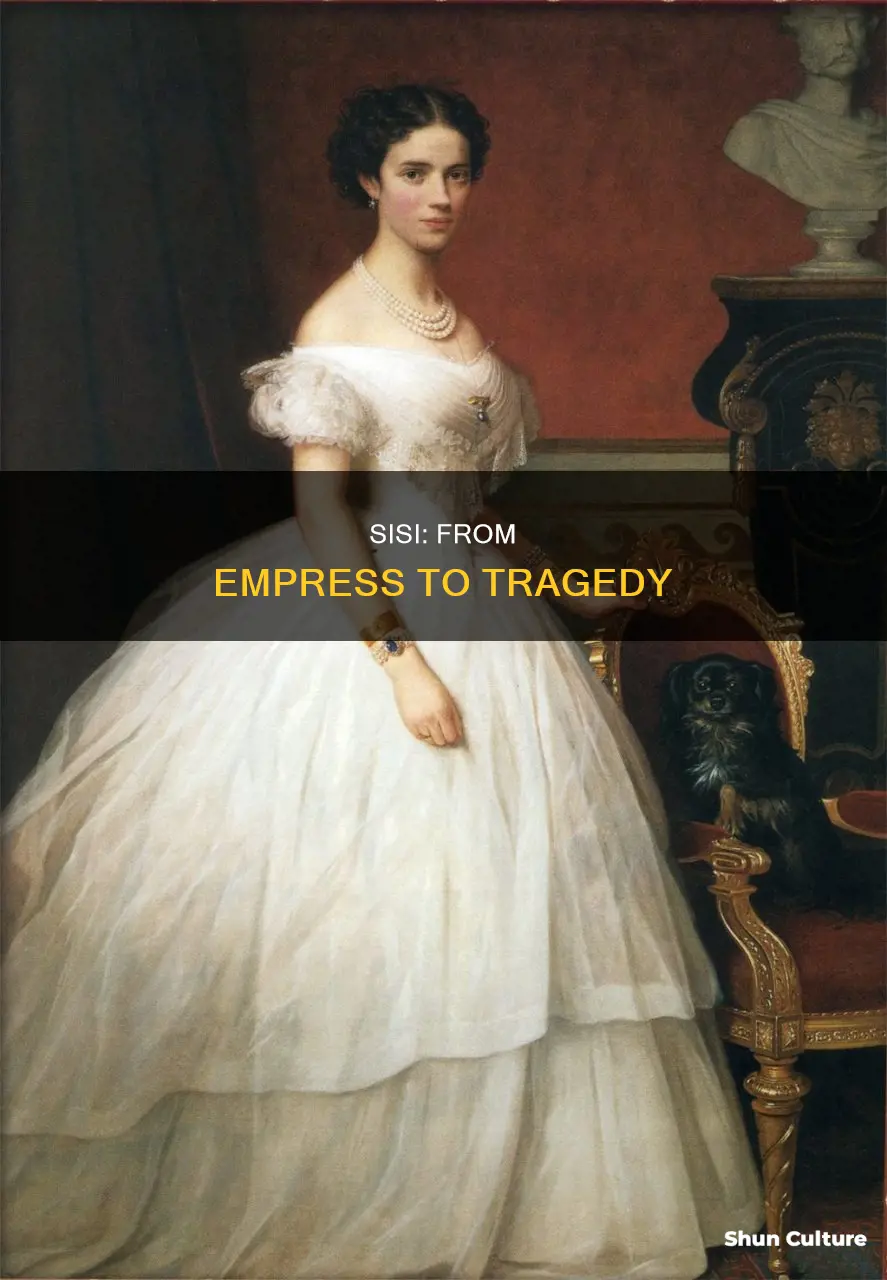 when was sisi empress of austria