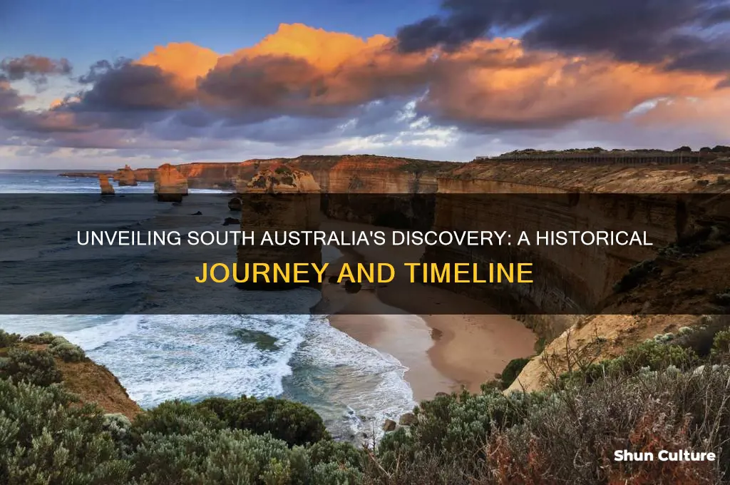 when was south australia first discovered