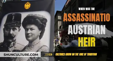 The Austrian Heir's Assassination: Who Wanted Them Dead?